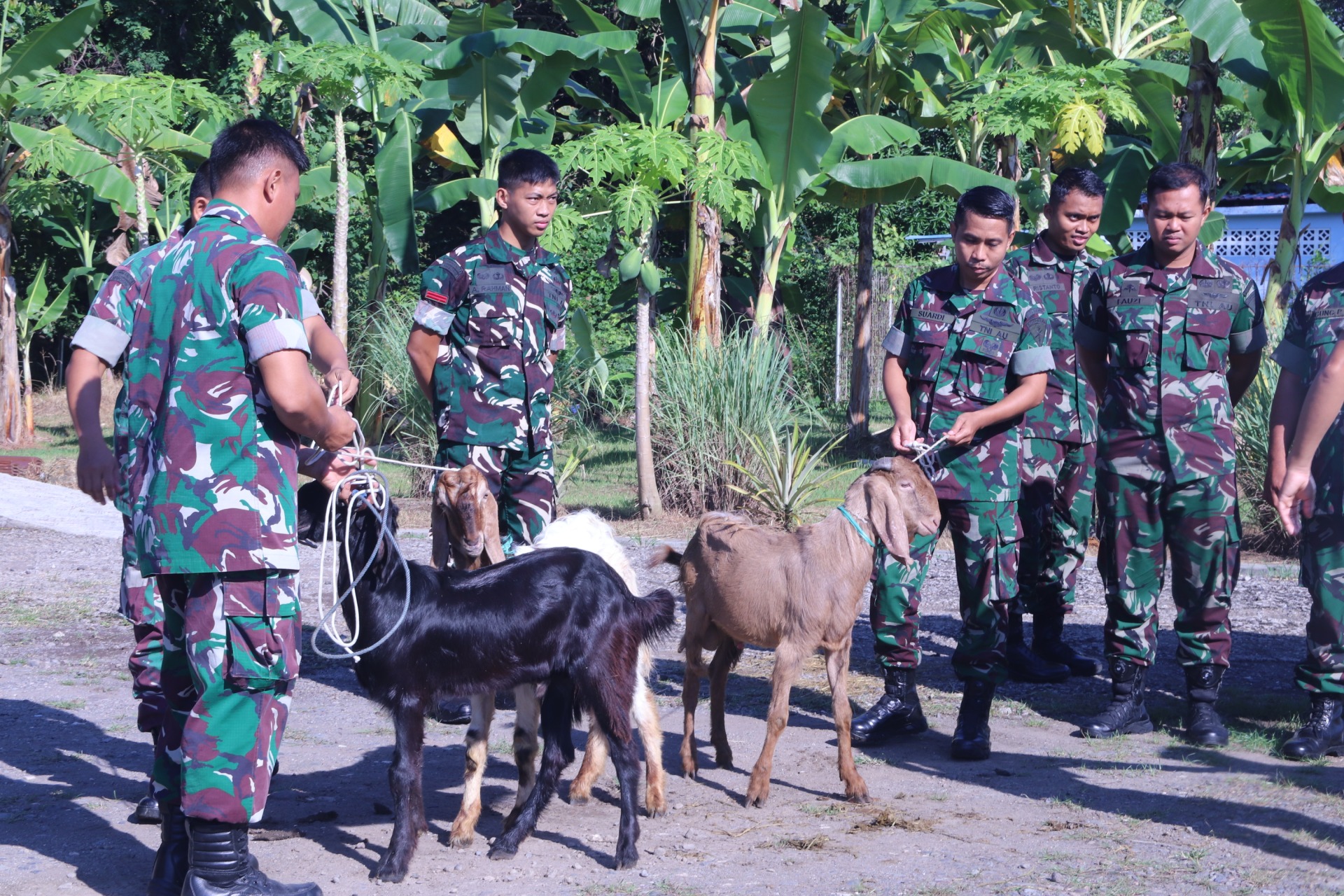 Foto pendukung Qurban hewan pada Hari raya Idul adha